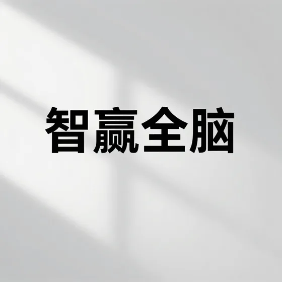 智赢全脑实用指南